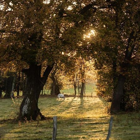 B&B La Gotale Manhay Bagian luar foto